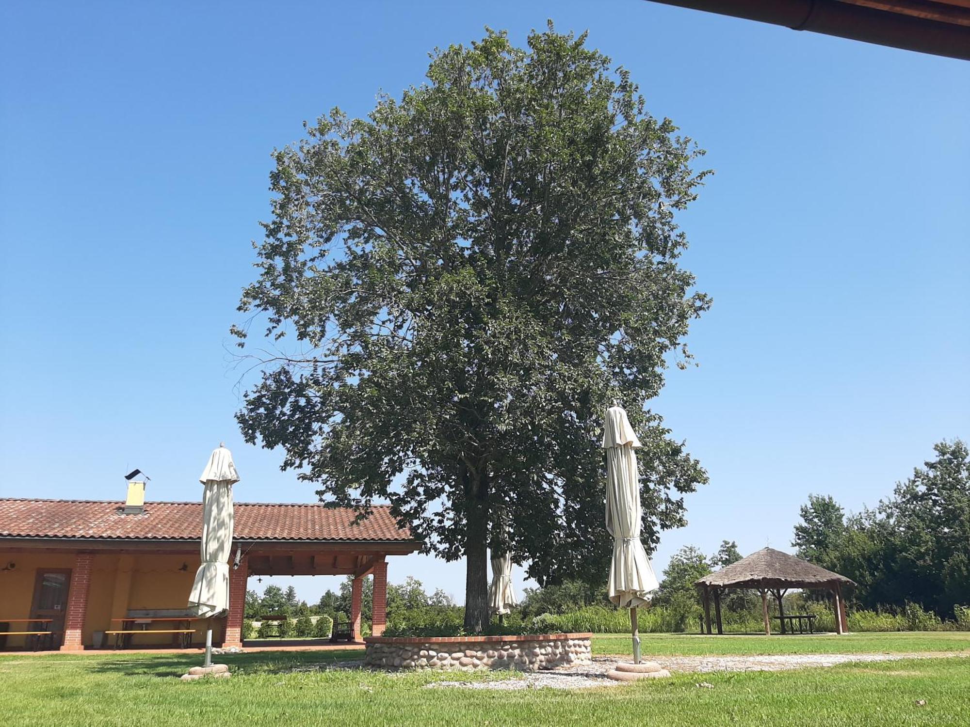 Corte All'Olmo Verona Exterior photo